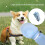 Foldable Pet Travel Water Bottle With Foldable Bowl Soft-Blue 3