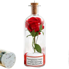 Rose Message in a Bottle,Valentine's Day Rosy Voice Recording Message Glass Bottle with Playback Cork,Valentines Day Gifts for Her Him,Romantic Love