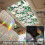 Rainbow Window Privacy Film,Decorative Window-43x100cm XCBL157 8