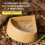 Reptiles Worm Dish Lizards Food Bowl Triangular-Brownish yellow 6