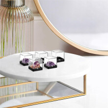 6pcs Transparent Plastic Rock Collection Display Case Sturdy Organizer for Gemstones Jewelry and Collectibles Storage