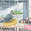Cage Accessories for Parakeets,Parrots-Yellow Suction type 10