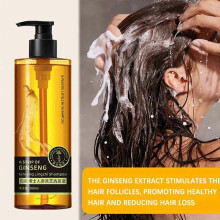 2025 Ginseng Oil Control Anti-Hair Loss Shampoo, Anti-Hair Loss and Hair Strengthening Shampoo, Ginseng Extract Root Nourishing Shampoo, Ginseng Shamp