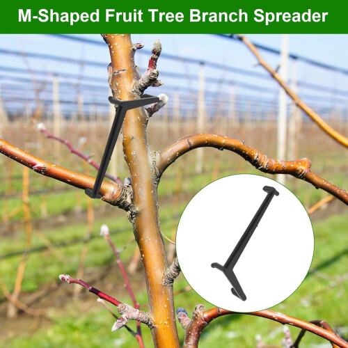 40PCS Professional Fruit Tree Branch Openers Branch Puller For 1