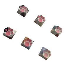 6 stuks PBT kleurstofsublimaties Keycaps-B kattenpoot gemengd