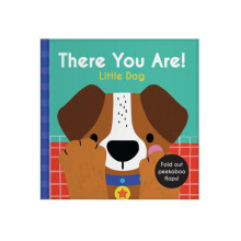 There You Are Little Dog Other Book