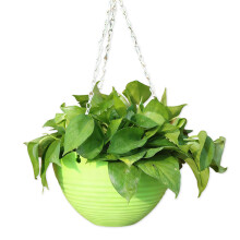 Hanging Basket Flowerpot Garden Resin Outdoor Flowerpot-Green