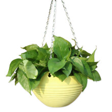 Hars hangende mand plantenbak plant hangende buiten-Geel