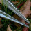 4Pcs Gardening Hole Maker Tools Crafted From Robust Materials 9