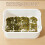 Bean Sprout Plates Vegetable Soilless Nursery-Light Green 1 5