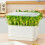 Bean Sprout Plates Vegetable Soilless Nursery-Light Green 1 10