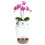 Twin Pack Plastic Growing Tools With Air Circulation System-S 2