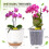 Twin Pack Plastic Growing Tools With Air Circulation System-S 4