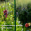 Large Capacity Iron Hook Hanging Bird Feeder-black circleHook 10