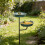 Unique Backyard Bird Water Dish Featuring Food Space For-Green 8