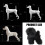 Modèle réaliste de squelette de corps complet de-Modèle caniche 8