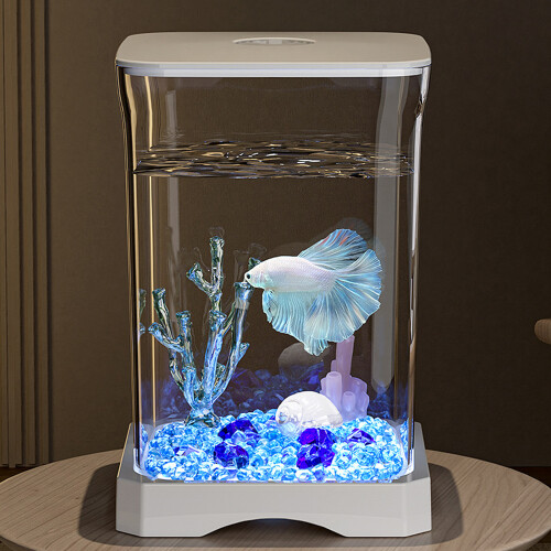 Modern Transparents Bettas Habitats Space-Black Upgraded model 2