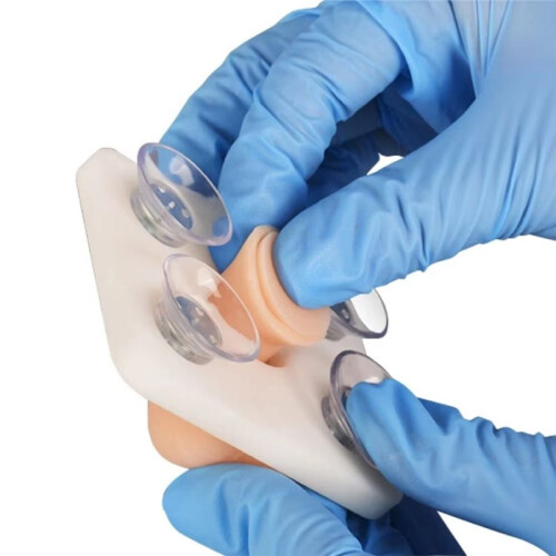 Infant Circumcision Training Model, Student Teaching Surgery Circumcision Model for Surgical Practice 2
