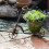 Decorative Creative Retro Iron Flower Pot Convenient Metal-A 8