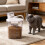 Middle Sized Pet Food Storage Choice With strong-Baise 8