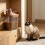 ABS Plastic Pet Reward Storage Box With tight lid-Lvse 3