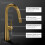 Riobel Ludik Mixer with Pull Down Spray Brushed Gold Kitchen Tap | 2