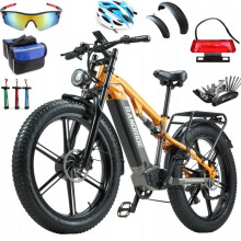 Randride YX80M-2 Dual motor Electric Bike 26"48V20AH Mountain EBike Bicycle