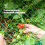 LIVIVO 6pc Garden Netting - Green 5