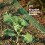 LIVIVO 6pc Garden Netting - Green 8