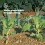 LIVIVO 6pc Garden Netting - Green 9