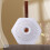 Portable Desiccant Moisture Absorber Electric Moisture-White 9