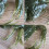 4 Stück 13 cm Künstlicher Angelköder, Krabbenköder, 3D-Simulation, Weicher Angelköder, Grün 1