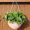 Imitatiehars geweven bloemcontainer tuin-Chocolade 5