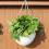 Imitatiehars geweven bloemcontainer tuin-Chocolade 6
