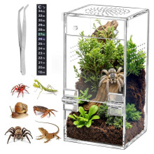 Terrario per Rettili In Acrilico, Facile da Assemblare, Design Trasparente A 360 e Sicuro per Animali Domestici per Ragni Saltatori, Tarantole, Gechi