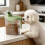 Medium Size Long Handle Kitchen Food Storage Container-Green 10