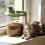 Medium Size Long Handle Kitchen Food Storage Container-Green 11