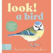 Look A Bird by Anya Serota Paperback Book