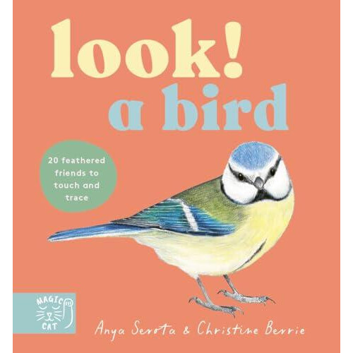 Look A Bird by Anya Serota Paperback Book
