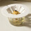 Avocado Starter Pot For Kitchen Balcony And Home Decoration 8