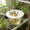 Avocado Starter Pot For Kitchen Balcony And Home Decoration 5