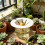 Avocado Starter Pot For Kitchen Balcony And Home Decoration 6