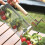 Premium Nonrust Steel Camping Grills Outdoors Cooking-2 8