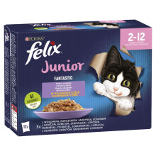 Felix Fantastic Junior Kitten -ruoka, erilaisia makuja hyytelössä, 1,02 kg (12 x 85 g)