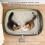 Large Capacity Pet Litter Container Box With Tall-1 extra large 4