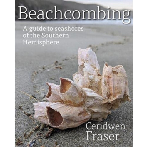 Beachcombing by Ceridwen Fraser Paperback Book