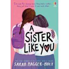 A Sister Like You by Sarah HaggerHolt Paperback Book