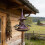 Handcrafted Resins Bird Feeder Easy Installation Garden-1 9