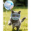 Catss Bubble Muzzles Transparents Permeable Face Cover-White M 8
