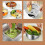 3Pcs Rustproof Kitchen Sink Basins For Washing Rice Vegetables 9